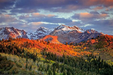 uinta wasatch cache national forest